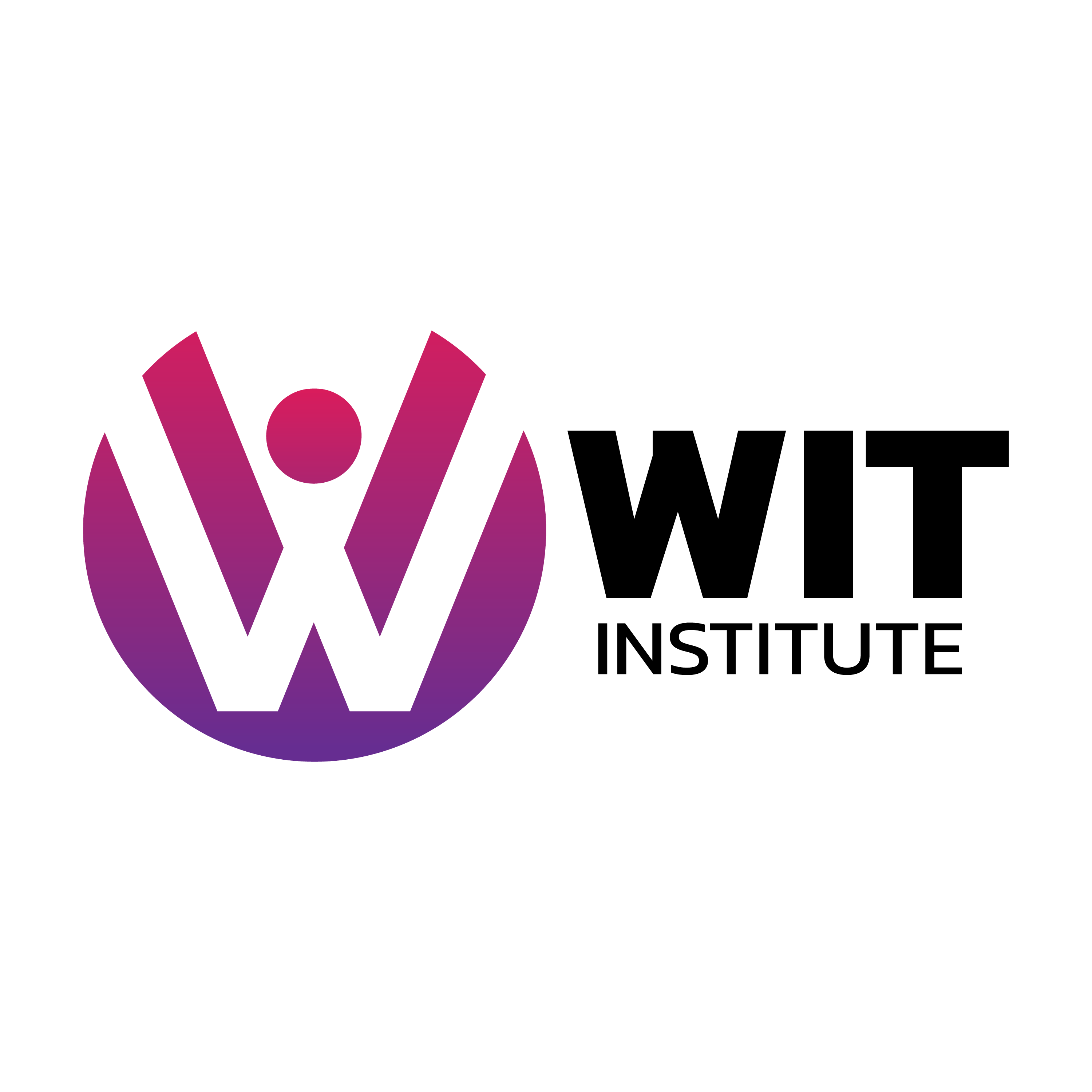 WIT Institute