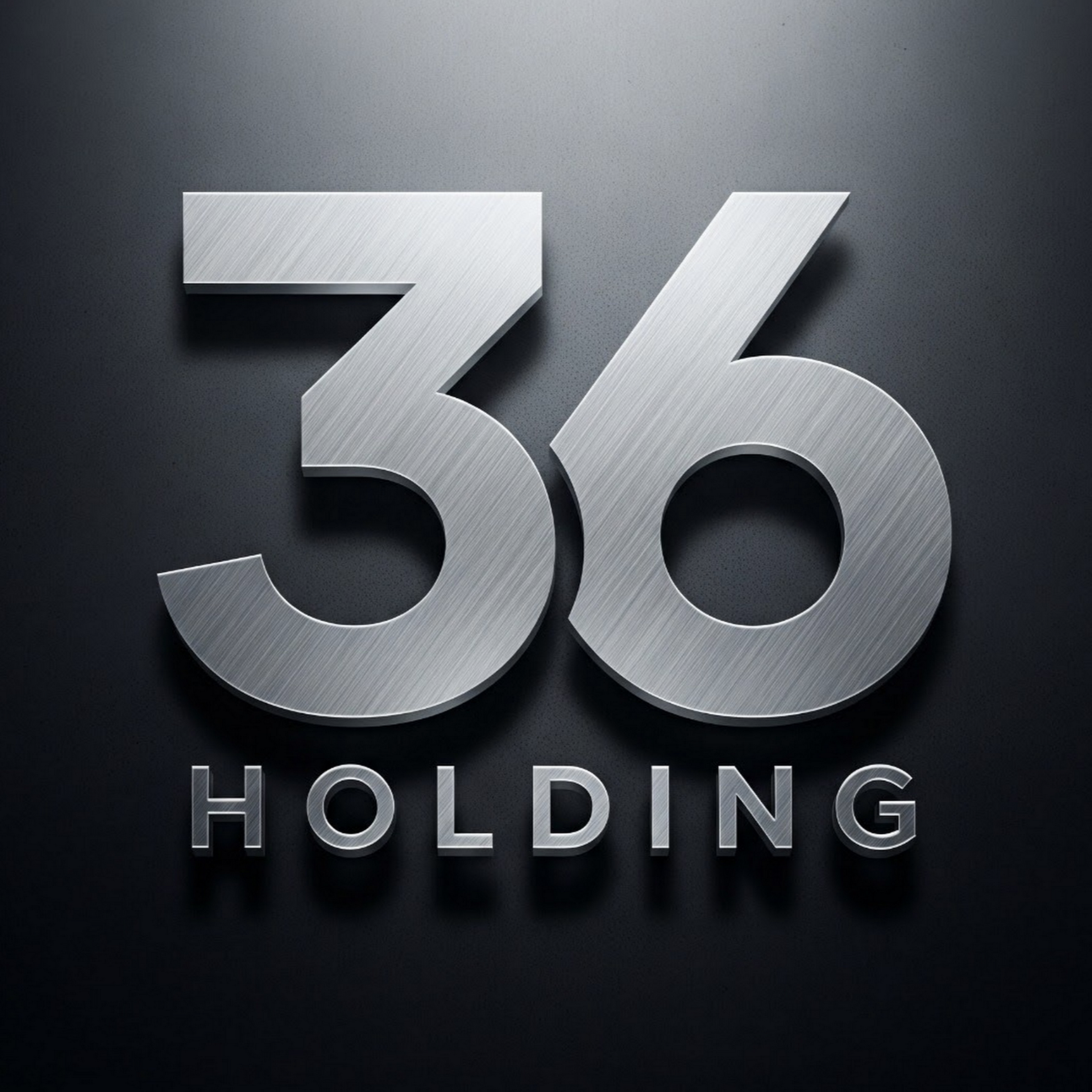 36 Holding Ltd