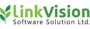 Link Vision Software Solution Ltd