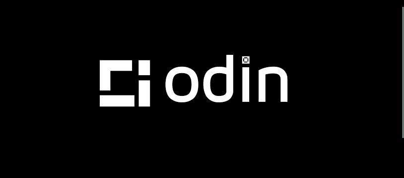 ODIN Outsourcing